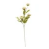 Tan Peony Stem By Ashland® -Michaels Shop 10679183 1