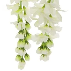 Cream Wisteria Stem By Ashland® -Michaels Shop 10679185 3