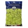 SuperMoss® Preserved Reindeer Moss, 8oz. -Michaels Shop 10701986 1