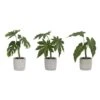 Melrose Green Potted Foliage Set, 10", 10.5" & 11.5" -Michaels Shop D237601S 1