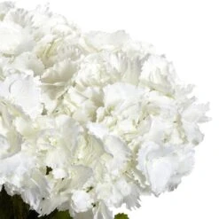 23" White Large Hydrangea Silk Flower Arrangement In Vase -Michaels Shop D251398S 12