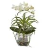 13" White Orchid & Succulent Mixed Arrangement With Glass Vase -Michaels Shop D251410S 11