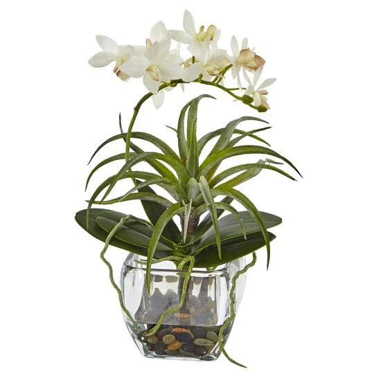 13" White Orchid & Succulent Mixed Arrangement With Glass Vase 3 13" White Orchid & Succulent Mixed Arrangement With Glass Vase