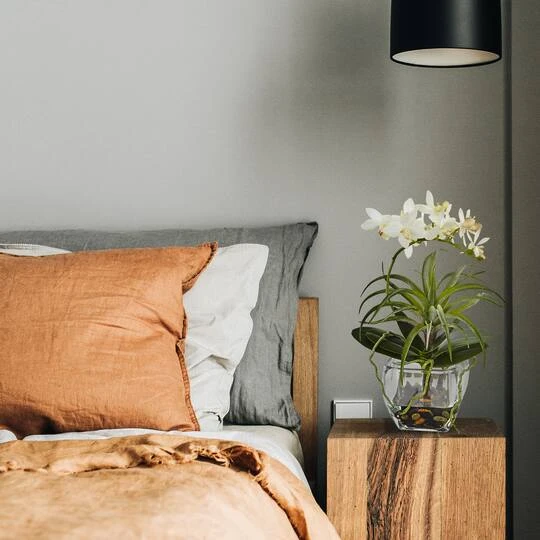 13" White Orchid & Succulent Mixed Arrangement With Glass Vase 5 13" White Orchid & Succulent Mixed Arrangement With Glass Vase - Image 3