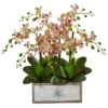 23" Cream & Pink Moth Orchid Arrangement In Decorative Wood Planter -Michaels Shop D251412S 11