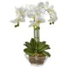 22" White Triple Orchid In Glass Vase -Michaels Shop D251464S 11