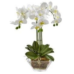 22" White Triple Orchid In Glass Vase