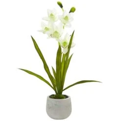 22" White Cymbidium Orchid Arrangement In Cement Pot