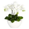 15" Phalaenopsis Arrangement In White Bowl Vase