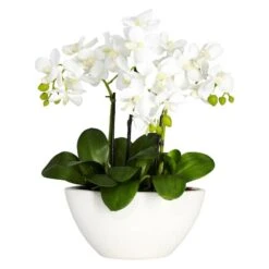 15" Phalaenopsis Arrangement In White Bowl Vase