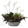 20" Orchid & Succulent Garden In Decorative Pot