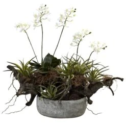 20" Orchid & Succulent Garden In Decorative Pot