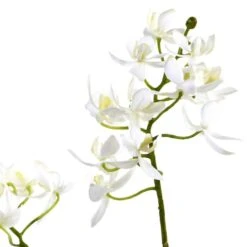 20" Orchid & Succulent Garden In Decorative Pot -Michaels Shop D251492S 12