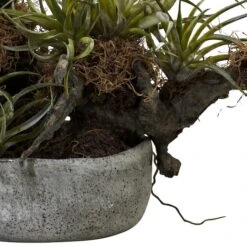 20" Orchid & Succulent Garden In Decorative Pot -Michaels Shop D251492S 13