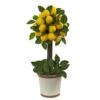 18" Potted Lemon Ball Topiary Arrangement -Michaels Shop D251493S 11