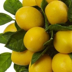 18" Potted Lemon Ball Topiary Arrangement -Michaels Shop D251493S 12