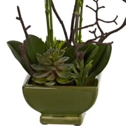 21" Orchid & Succulent Floral Arrangement In Ceramic Pot 9 21" Orchid & Succulent Floral Arrangement In Ceramic Pot -Michaels Shop D251497S 13