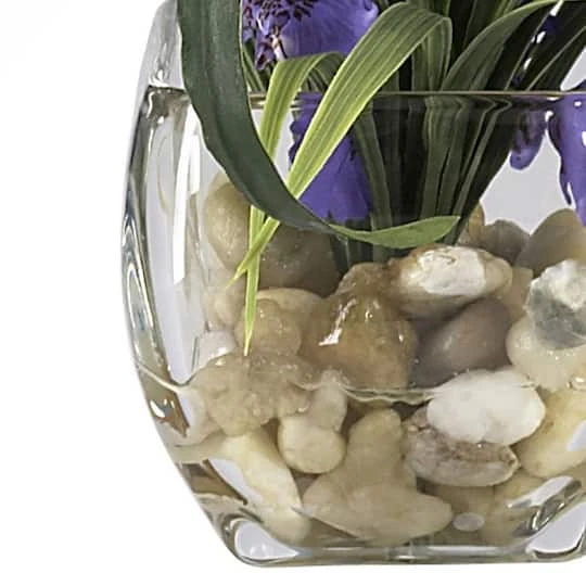 19" Purple Dancing Lady Orchid Arrangement In Vase 6 19" Purple Dancing Lady Orchid Arrangement In Vase - Image 4