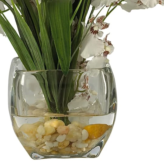 19" White Dancing Lady Orchid Arrangement In Vase 6 19" White Dancing Lady Orchid Arrangement In Vase - Image 4