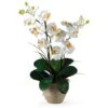 25" Cream Double Phalaenopsis Silk Orchid Flower Arrangement In Ceramic Pot -Michaels Shop D251506S 11