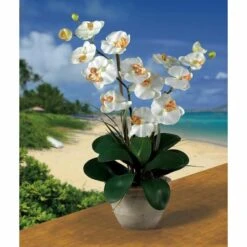 25" Cream Double Phalaenopsis Silk Orchid Flower Arrangement In Ceramic Pot -Michaels Shop D251506S 12