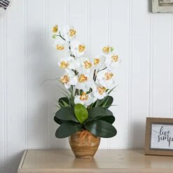 25" Cream Double Phalaenopsis Silk Orchid Flower Arrangement In Ceramic Pot -Michaels Shop D251506S 13