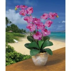 25" Double Phalaenopsis Silk Orchid Flower Arrangement In Ceramic Pot -Michaels Shop D251507S 2
