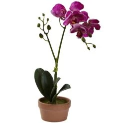 13" Orchid With Clay Vase, 4ct. -Michaels Shop D251610S 14