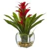 12" Red Bromeliad Arrangement In Glass Vase -Michaels Shop D251615S 11