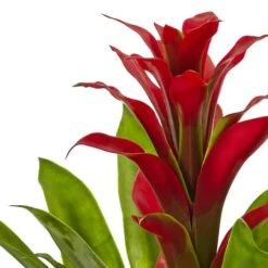 12" Red Bromeliad Arrangement In Glass Vase -Michaels Shop D251615S 13