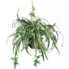 2ft. Spider Hanging Basket -Michaels Shop D251623S 11