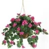 24" Pink Bougainvillea Hanging Basket -Michaels Shop D251624S 11