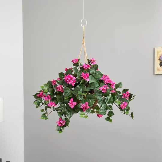 24" Pink Bougainvillea Hanging Basket 10 24" Pink Bougainvillea Hanging Basket - Image 8