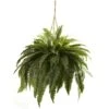 2.5ft. Double Boston Fern Hanging Basket 1 2.5ft. Double Boston Fern Hanging Basket -Michaels Shop D251625S 11