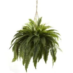2.5ft. Double Boston Fern Hanging Basket