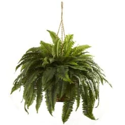 2.5ft. Double Boston Fern Hanging Basket -Michaels Shop D251625S 12