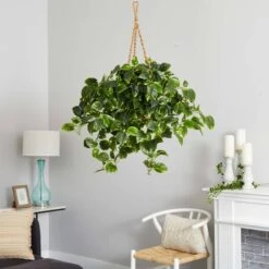 3ft. Pothos Hanging Basket -Michaels Shop D251626S 15
