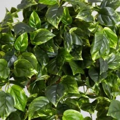 3ft. Pothos Hanging Basket -Michaels Shop D251626S 16