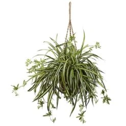 20" Spider Plant Hanging Basket -Michaels Shop D251627S 11 1