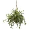 20" Spider Plant Hanging Basket -Michaels Shop D251627S 11