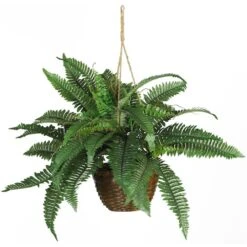 18" Boston Fern Hanging Basket