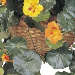 22" Golden Nasturtium Hanging Basket -Michaels Shop D251630S 12