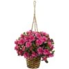 2.5ft. Pink Azalea Flowering Hanging Basket