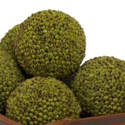 4" Green Berry Balls, 6ct. -Michaels Shop D251636S 14