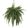 22" Boston Fern Hanging Basket -Michaels Shop D251638S 11