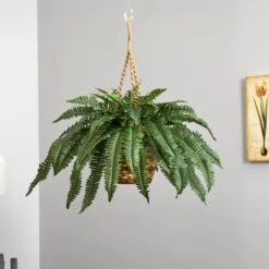 22" Boston Fern Hanging Basket -Michaels Shop D251638S 14