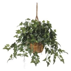 2ft. English Ivy Hanging Basket -Michaels Shop D251640S 1 1