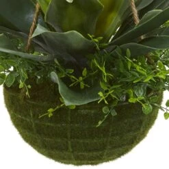 13" Agave & Maidenhair Plant In Hanging Basket -Michaels Shop D251641S 13