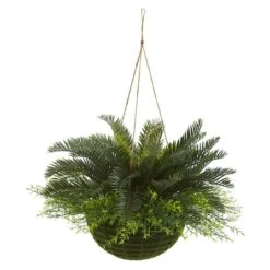 13" Cycas Plant In Mossy Hanging Basket
