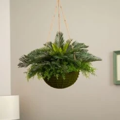 13" Cycas Plant In Mossy Hanging Basket -Michaels Shop D251642S 12